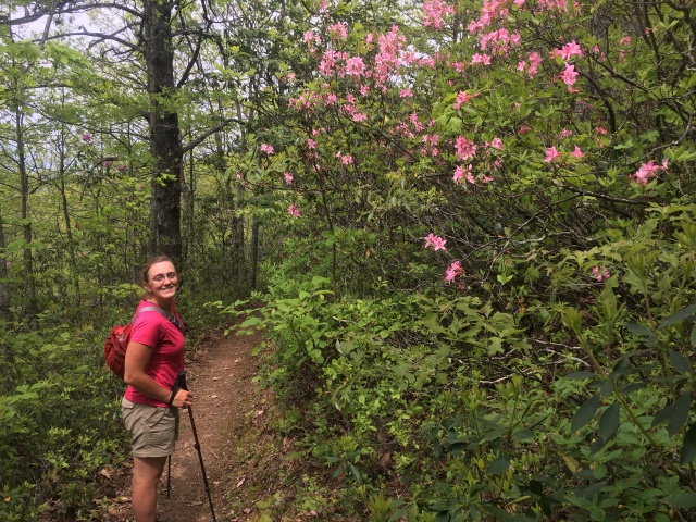 2016/03(March)/2016-03-Appalachian-Trail-BEST/640x480_2016-05-08-Appalachian-Trail-193-Stitch.JPG