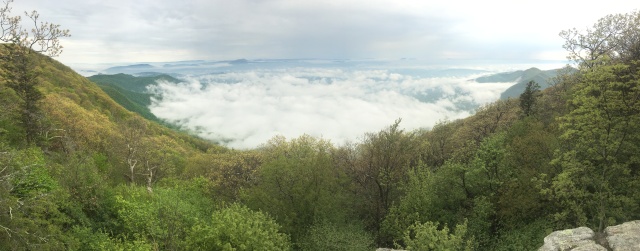 2016/03(March)/2016-03-Appalachian-Trail-BEST/640x480_2016-05-10-Appalachian-Trail-196-scenery-clouds-below-us.JPG