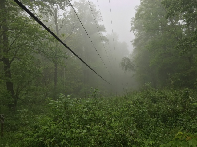 2016-05-12-Appalachian-Trail-206-power-lines-scenery.JPG
