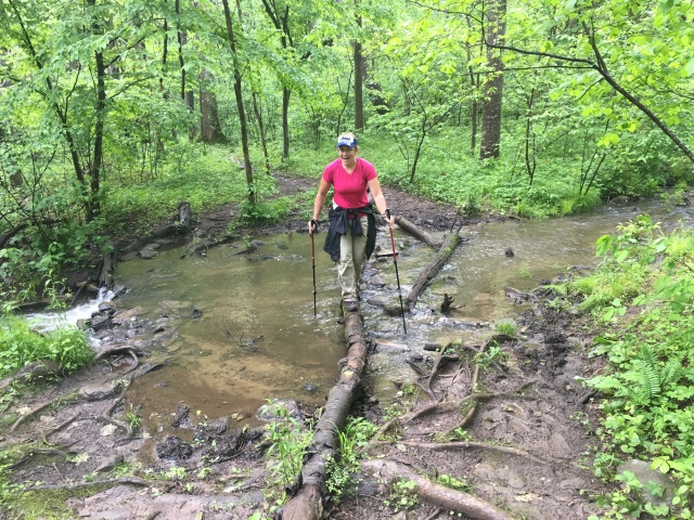 2016-05-23-Appalachian-Trail-234-Stitch-crossing-creek.JPG