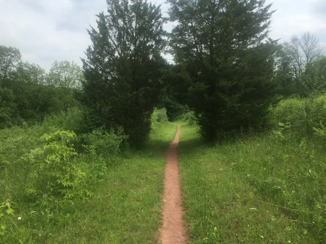 2016/03(March)/2016-03-Appalachian-Trail-BEST/640x480_2016-06-02-Appalachian-Trail-299-scenery.JPG