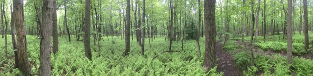 2016/03(March)/2016-03-Appalachian-Trail-BEST/640x480_2016-06-03-Appalachian-Trail-305-scenery-panorama.JPG