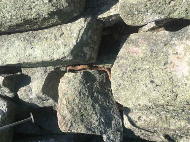 2016-06-07-Appalachian-Trail-316-soon-to-be-dead-CopperHead-snake.JPG