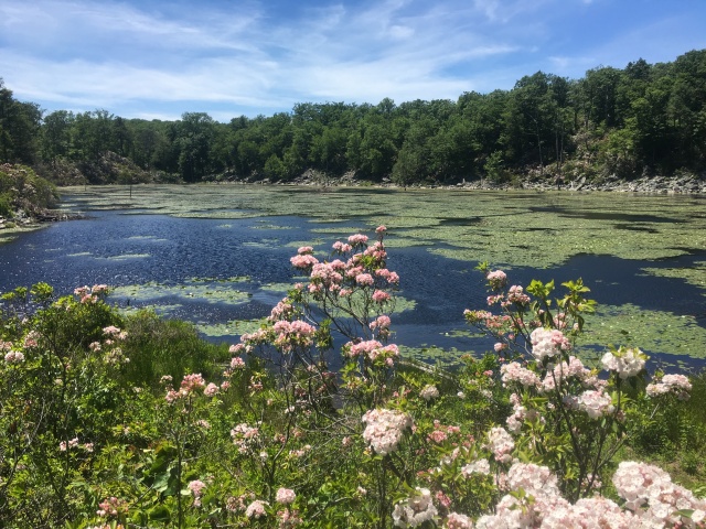 2016/03(March)/2016-03-Appalachian-Trail-BEST/640x480_2016-06-10-Appalachian-Trail-328-scenery.JPG