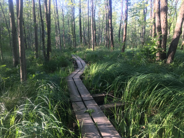 2016/03(March)/2016-03-Appalachian-Trail-BEST/640x480_2016-06-13-Appalachian-Trail-343-scenery.JPG