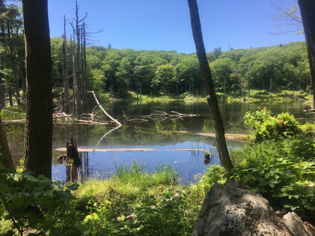 2016/03(March)/2016-03-Appalachian-Trail-BEST/640x480_2016-06-24-Appalachian-Trail-391-scenery.JPG