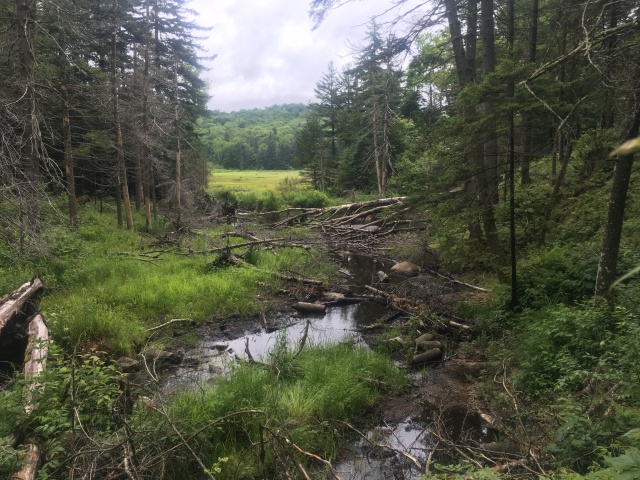 2016/03(March)/2016-03-Appalachian-Trail-BEST/640x480_2016-06-29-Appalachian-Trail-405-scenery.JPG