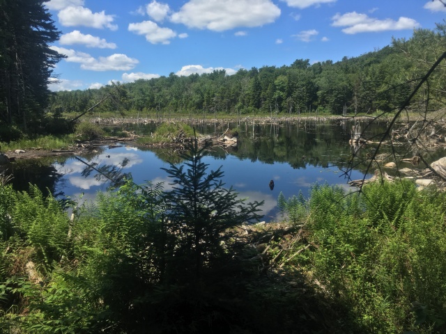 2016/03(March)/2016-03-Appalachian-Trail-BEST/640x480_2016-06-30-Appalachian-Trail-408-scenery.JPG