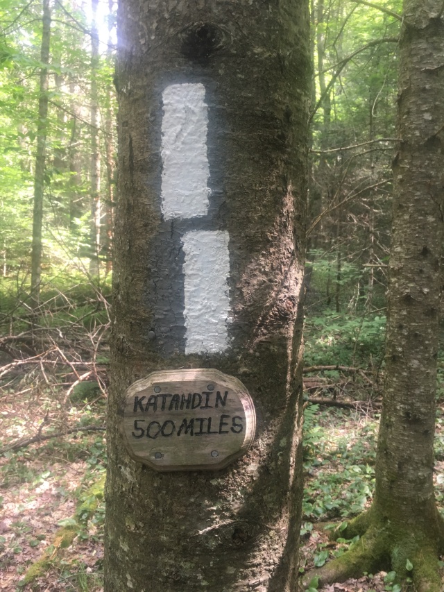 2016-07-05-Appalachian-Trail-440-Only-500-miles-more-to-go.JPG