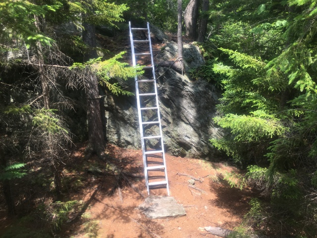 2016-07-07-Appalachian-Trail-447-ladder-on-the-trail.JPG
