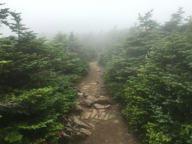 2016/03(March)/2016-03-Appalachian-Trail-BEST/640x480_2016-07-14-Appalachian-Trail-470-scenery.JPG