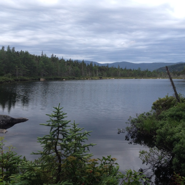 2016/03(March)/2016-03-Appalachian-Trail-BEST/640x480_2016-07-18-Appalachian-Trail-497-Moose-in-Ethan-Pond.JPG