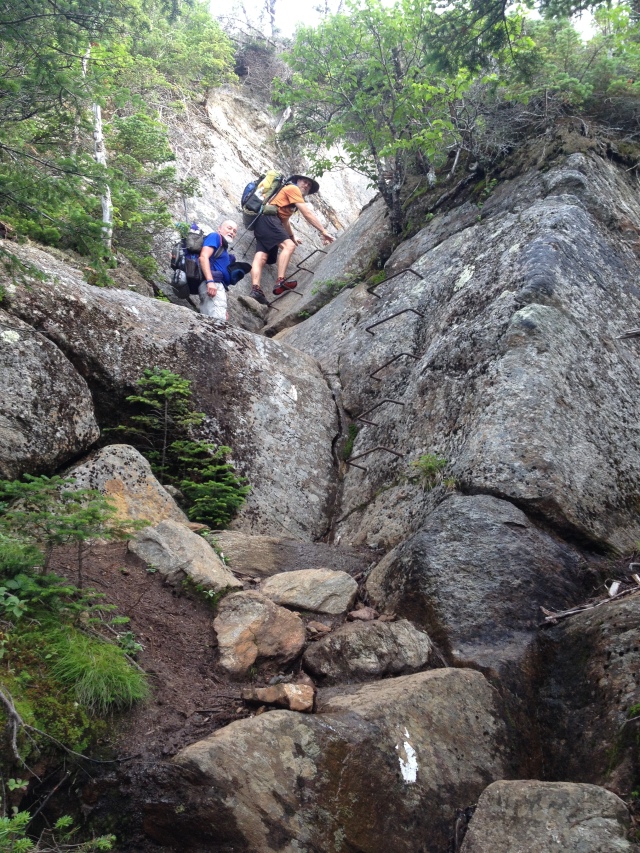 2016-07-25-Appalachian-Trail-527-GrandDaddyLongLegs-Bevo-climbing-rebar-stairs.JPG