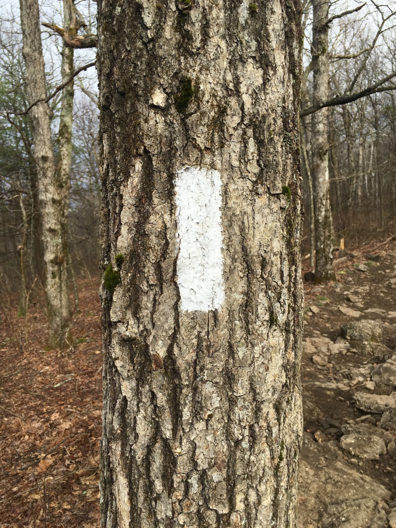 2016/03(March)/2016-03-Appalachian-Trail-BEST/800x600_2016-03-20-Appalachian-Trail-Springer-05-blaze.JPG