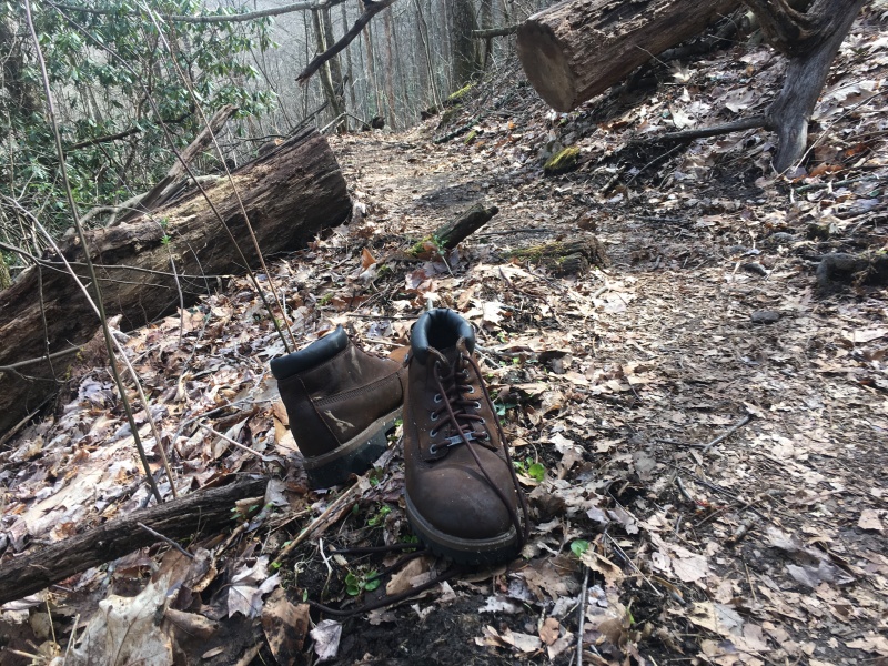 2016-03-25-Appalachian-Trail-023-boots-on-the-side-of-the-trail.JPG