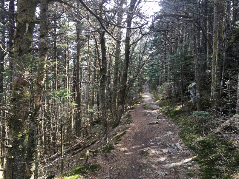 2016/03(March)/2016-03-Appalachian-Trail-BEST/800x600_2016-04-15-Appalachian-Trail-109-scenery.JPG