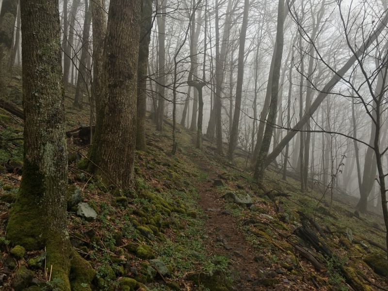 2016/03(March)/2016-03-Appalachian-Trail-BEST/800x600_2016-04-23-Appalachian-Trail-141-scenery.JPG