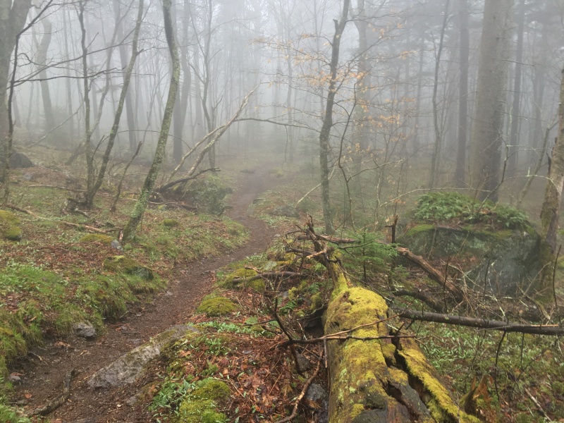 2016/03(March)/2016-03-Appalachian-Trail-BEST/800x600_2016-04-23-Appalachian-Trail-142-scenery.JPG