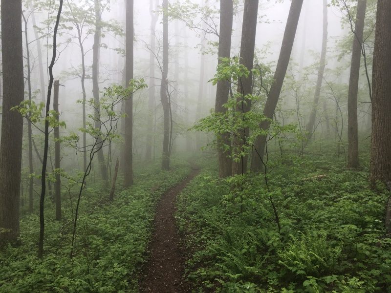 2016/03(March)/2016-03-Appalachian-Trail-BEST/800x600_2016-05-10-Appalachian-Trail-197-scenery.JPG