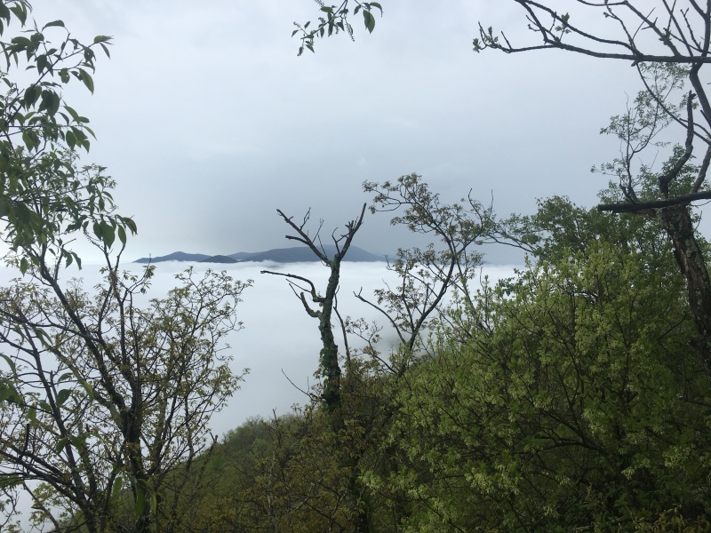 2016/03(March)/2016-03-Appalachian-Trail-BEST/800x600_2016-05-11-Appalachian-Trail-199-above-the-clouds-scenery.JPG