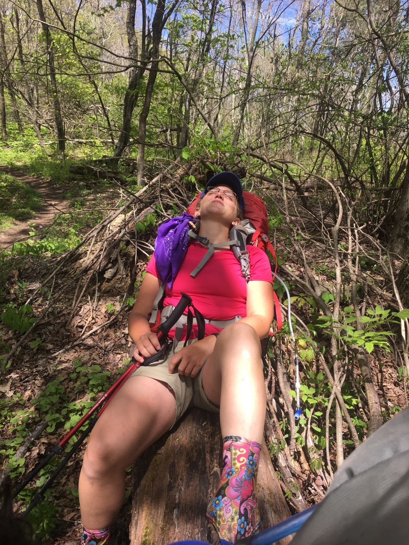 2016/03(March)/2016-03-Appalachian-Trail-BEST/800x600_2016-05-16-Appalachian-Trail-217-Stitch.JPG