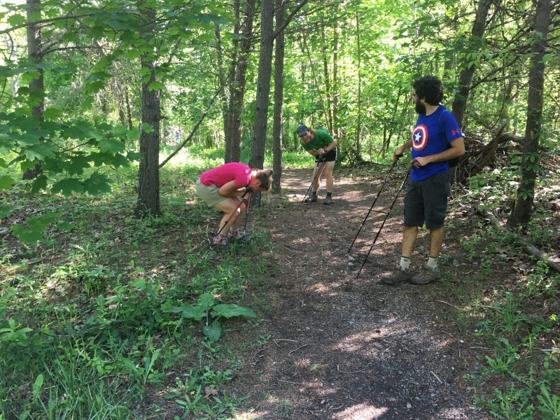 2016-05-24-Appalachian-Trail-241-Stitch-Garfield-SecretAgent-laughing-about-dead-deer-carcas.JPG