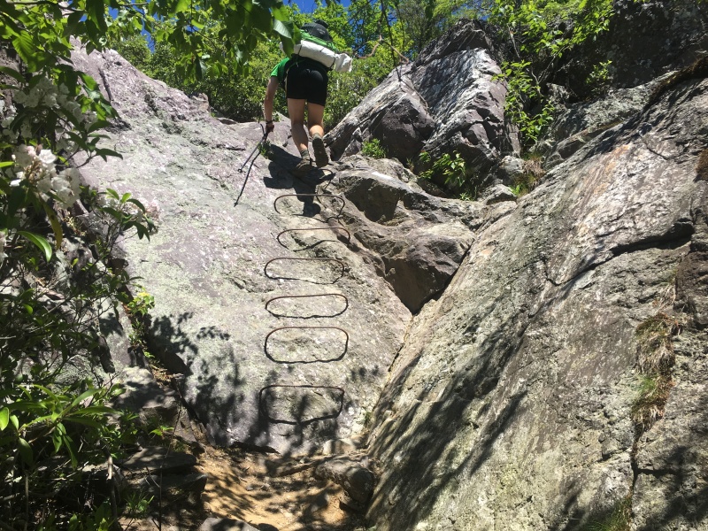 2016-06-14-Appalachian-Trail-350-Garfield-climbing-rebar-stairs.JPG