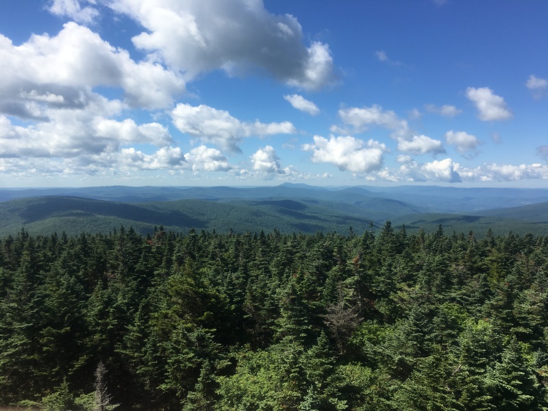2016/03(March)/2016-03-Appalachian-Trail-BEST/800x600_2016-06-30-Appalachian-Trail-407-scenery.JPG