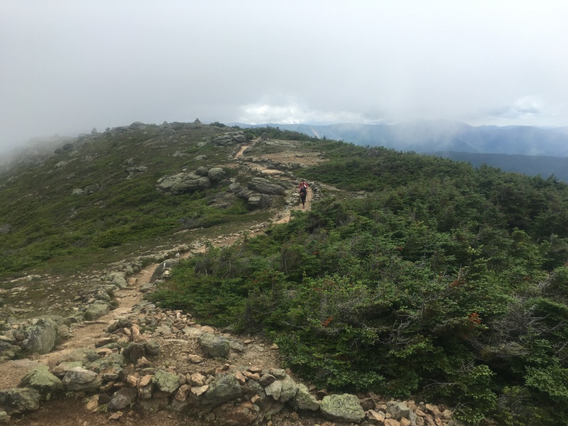 2016/03(March)/2016-03-Appalachian-Trail-BEST/800x600_2016-07-16-Appalachian-Trail-474-Franconia-Ridge.JPG
