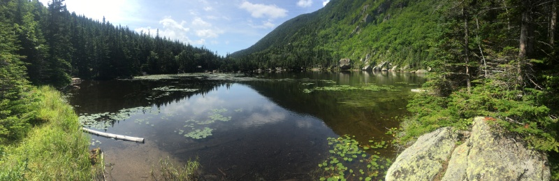2016/03(March)/2016-03-Appalachian-Trail-BEST/800x600_2016-07-21-Appalachian-Trail-515-Carter-pond-scenery.JPG
