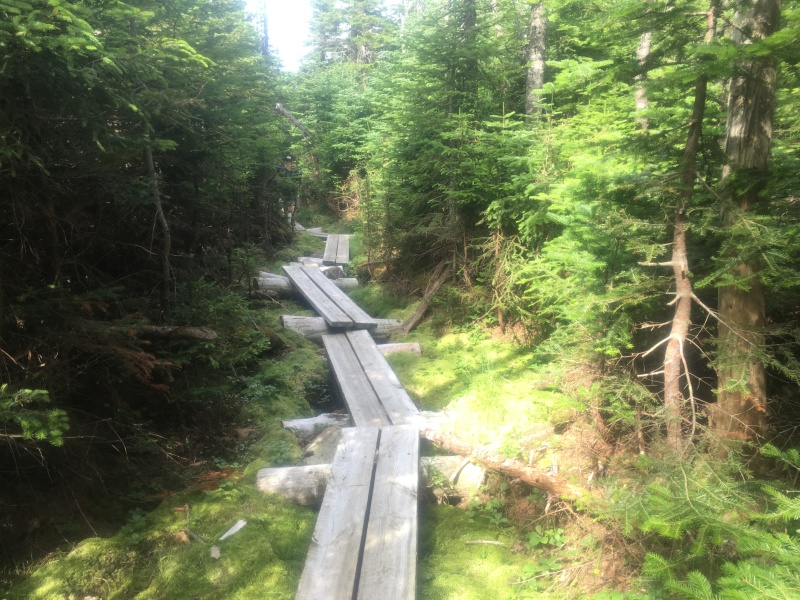 2016/03(March)/2016-03-Appalachian-Trail-BEST/800x600_2016-07-21-Appalachian-Trail-519-scenery.JPG