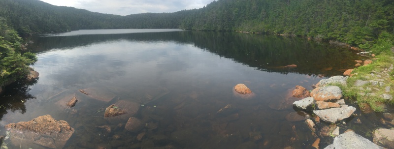 2016/03(March)/2016-03-Appalachian-Trail-BEST/800x600_2016-07-25-Appalachian-Trail-534-Spec-Pond-scenery.JPG