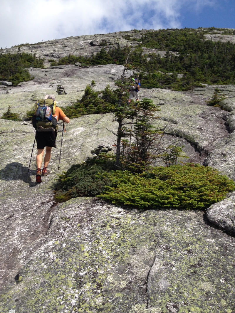 2016/03(March)/2016-03-Appalachian-Trail-BEST/800x600_2016-07-26-Appalachian-Trail-536-Bevo-GrandDaddyLongLegs.JPG