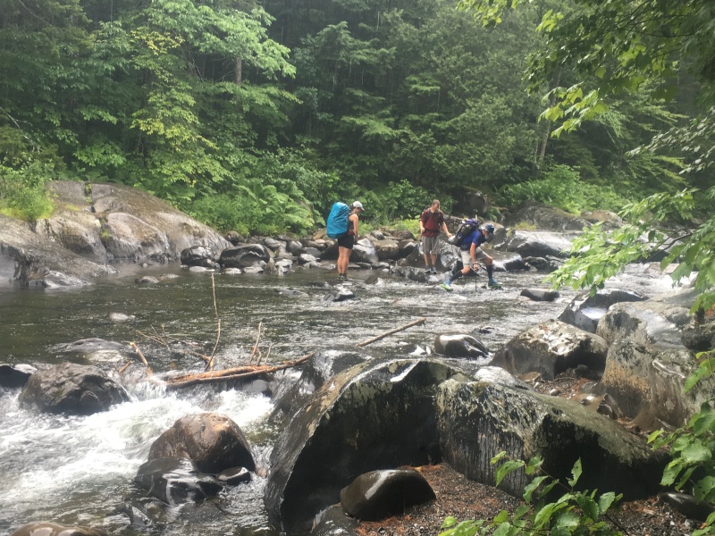 2016-08-06-Appalachian-Trail-595-Golly-JustGreg-GrandDaddyLongLegs-crossing-creek.JPG