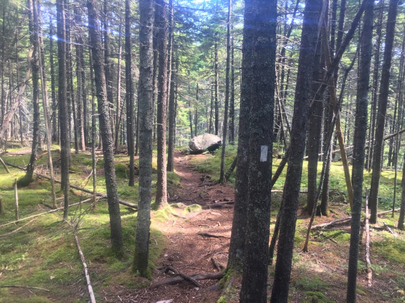 2016/03(March)/2016-03-Appalachian-Trail-BEST/800x600_2016-08-07-Appalachian-Trail-607-scenery.JPG