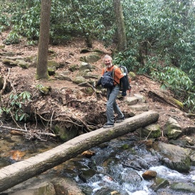 2016-03-20-Appalachian-Trail-Springer-06-Chaos.JPG