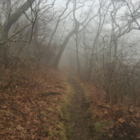 2016-03-27-Appalachian-Trail-032-scenery.JPG