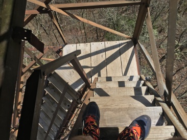 2016-04-01-Appalachian-Trail-057-fire-tower.JPG
