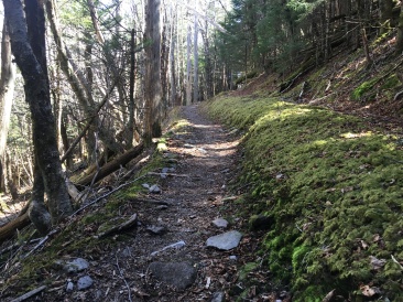 2016-04-04-Appalachian-Trail-068-trail.JPG