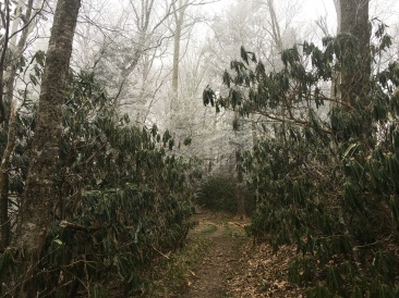 2016-04-05-Appalachian-Trail-073-frost.JPG