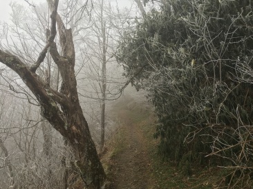 2016-04-05-Appalachian-Trail-075-frost.JPG