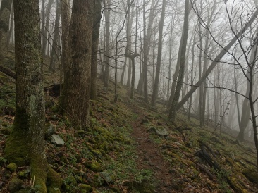 2016-04-23-Appalachian-Trail-141-scenery.JPG