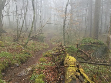 2016-04-23-Appalachian-Trail-142-scenery.JPG