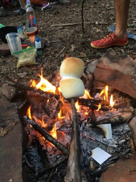 2016-04-26-Appalachian-Trail-158-roasting-marshmallows.JPG