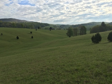 2016-05-04-Appalachian-Trail-176-scenery.JPG