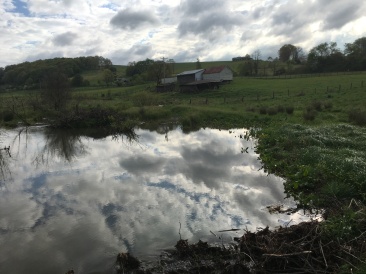 2016-05-04-Appalachian-Trail-177-scenery.JPG