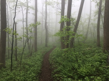 2016-05-10-Appalachian-Trail-197-scenery.JPG