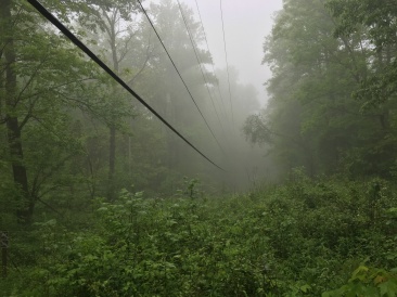 2016-05-12-Appalachian-Trail-206-power-lines-scenery.JPG