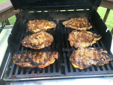 2016-05-15-Appalachian-Trail-215-steaks-at-Tompkins.JPG