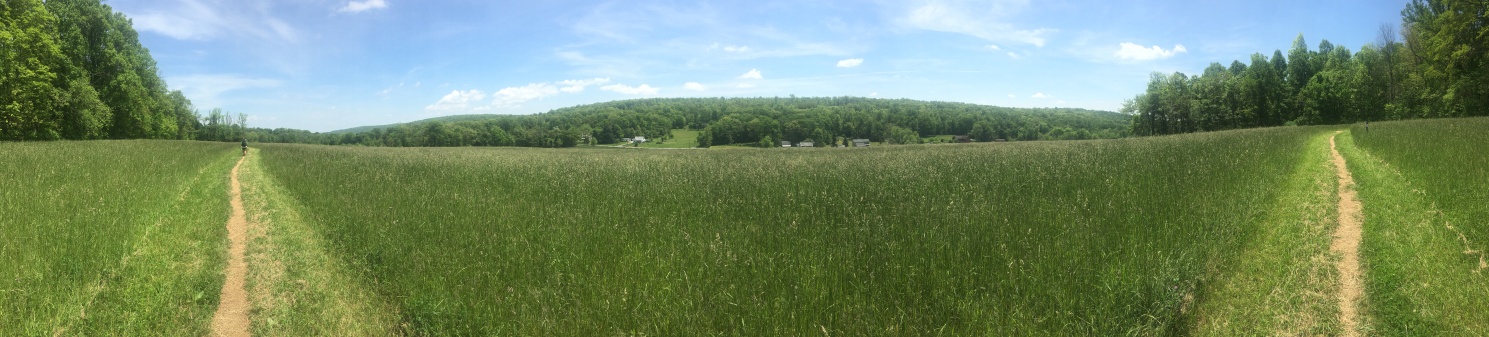 2016-05-27-Appalachian-Trail-264-scenery.JPG